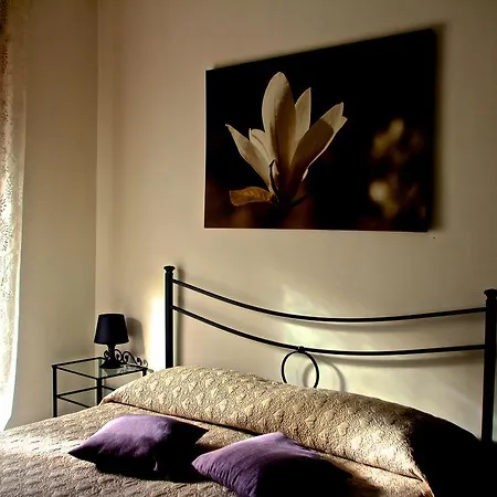 Panzió Bed